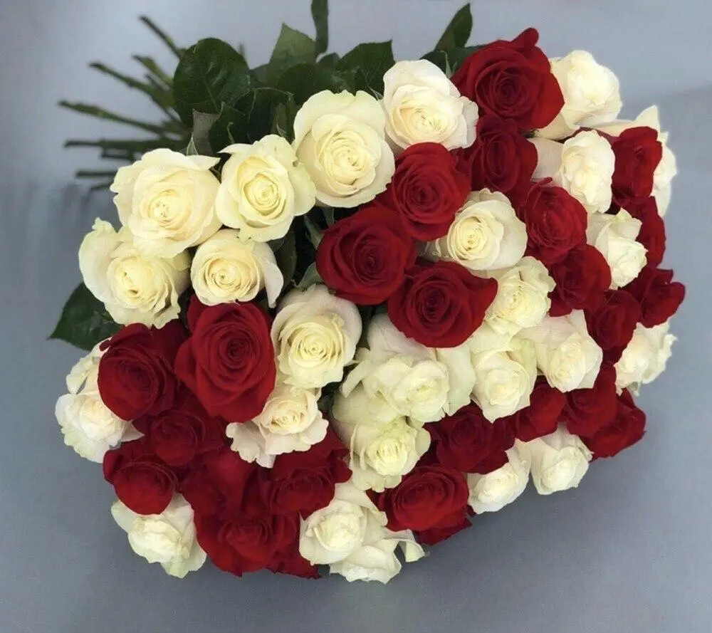 Red and white rose bouquet handcrafted in Auckland