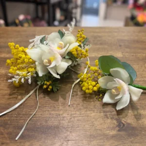 White & Yellow